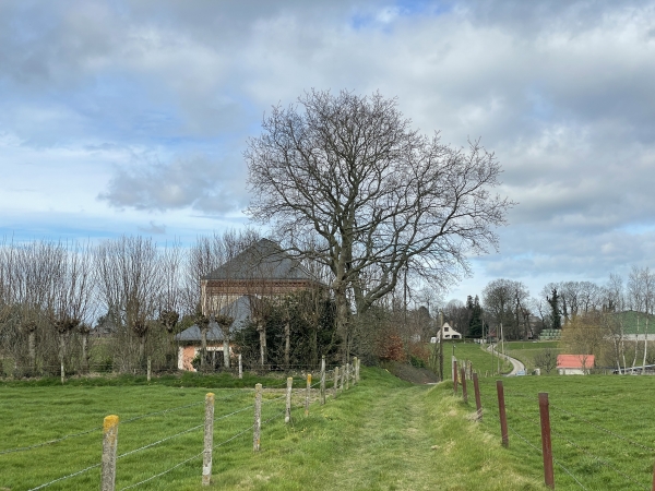 Chemin de la Mare du Carreau vers Turretot.
