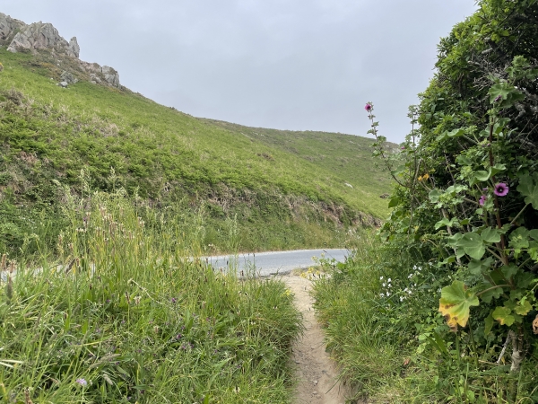 Nous rejoignons la D401 que nous allons suivre à gauche sur quelques mètres.