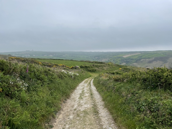 Nous suivons les chemins en direction de la vallée des Moulins.