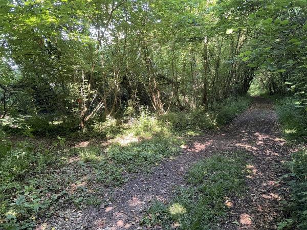 L'entrée du chemin suivant est discrète : elle est ici à gauche. Ce chemin quitte le bois de la Côte des Pluquettes, pour traverser la vallée de Frénette.