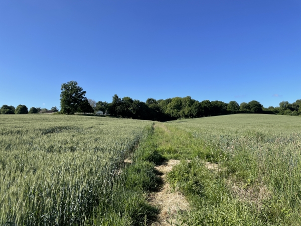 Nous traversons la vallée de Frénette sur ce chemin herbeux.