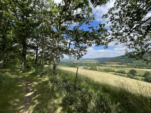 Nous suivons le sentier dit « du dessus des rochers » (GR36).
