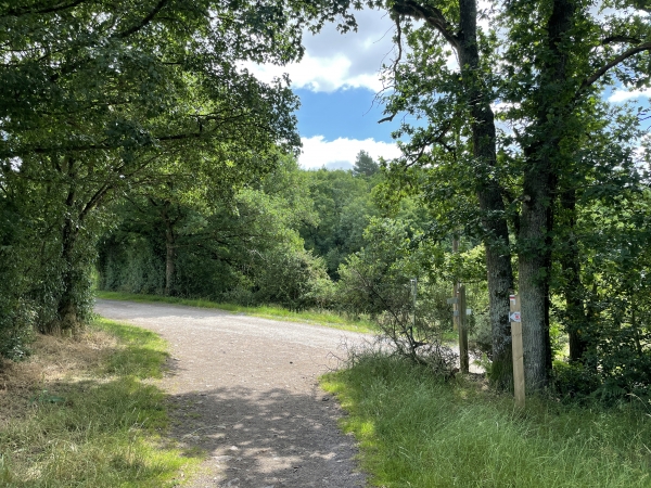 Nous arrivons à la pointe est des Rochers, nous tournons à droite pour descendre vers la vallée.