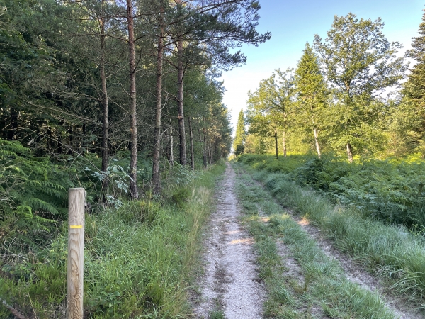 On voit à gauche l'une des balises jaunes qui jalonnent cet itinéraire.