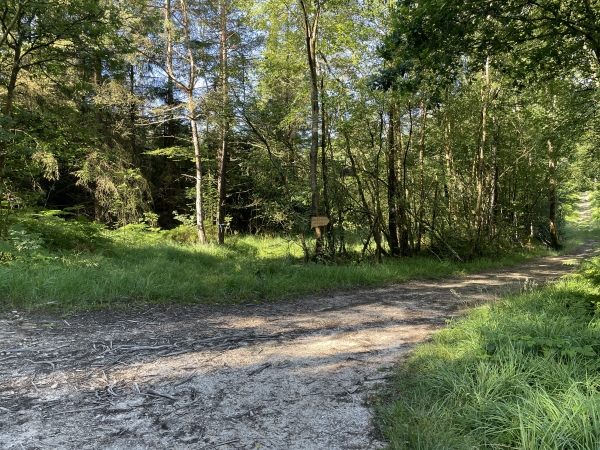 Le panneau en face de moi indique "Sur les pas de Saint-Evroult". J'ai la possibilité de faire un aller retour jusqu'à l'un des lieux d'hermitage du fondateur de l'abbaye de Saint-Evroult. C'est parti !