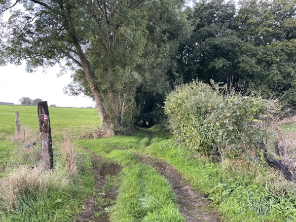Je quitte la route d'Héricourt pour marcher vers le bois de la Salle Verte. On remarque la balise fuchsia à gauche. Cet itinéraire est récent et il est parfaitement balisé.