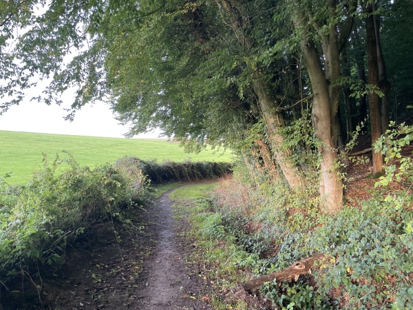 Je longe la plaine de Bimorel avant de traverser le bois.