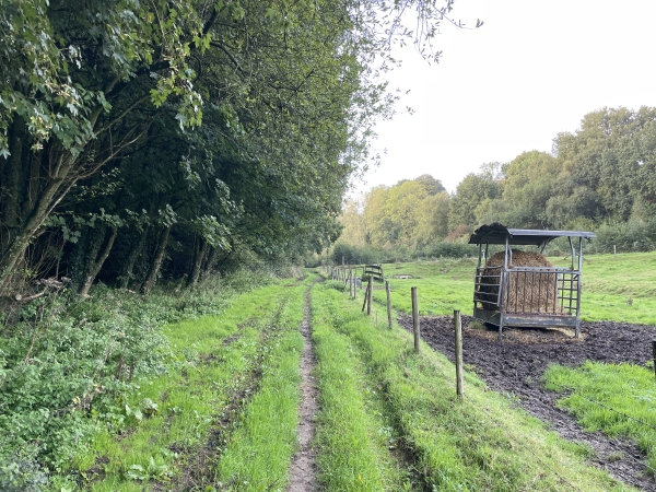 Me voilà dans le lit du Vert Buisson, entre la forêt et la plaine. Comme on le voit, le Vert Buisson ne coule pas souvent en surface, et le chemin est en parfait état malgré plusieurs jours de pluie.