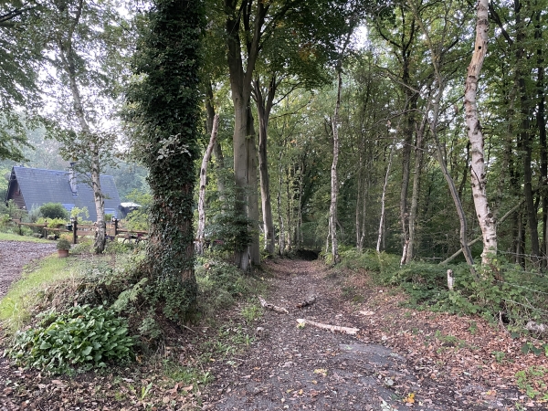 Je tourne sur la Côte de l'Eglise qui devient un chemin en entrant dans le bois Hébert.