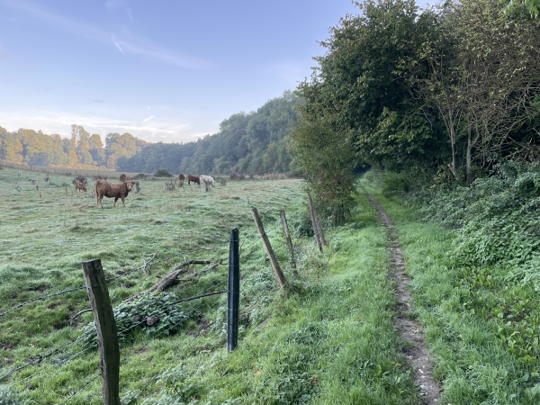 On voit à gauche du chemin le lit du Vert Buisson. Le cours de ce ruisseau disparaît dans les failles du plateau calcaire. La légende dit que lorsqu'il coule en surface, il annonce une catastrophe à venir. Tout va bien semble-t-il...