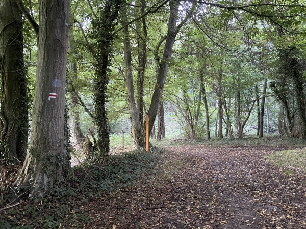 Je vais quitter le GR211 pour tourner à gauche et rester dans le vallon du Vert Buisson.
