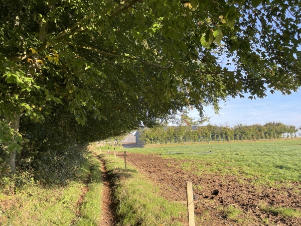 Je monte sur le plateau agricole d'Ancourteville.