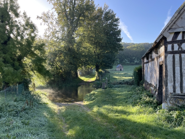Je longe la ferme et arrive au niveau d'un gué de la Durdent. Il y a une passerelle, que l'on distingue à droite du gué.