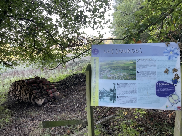 Ce panneau (détail dans l'album de photos) nous explique que de nombreuses sources de la Durdent jaillissent au milieu des  marais, au pied de la colline. Les principales sont la source Saint-Denis, quelque part en face de moi, et la sourche Saint-Riquier qui alimentait les cressonnières de la ferme vue tout à l'heure.