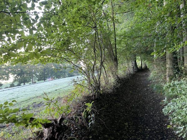 Regard arrière sur le GR211 que j'ai retrouvé à Héricourt-en-Caux, et que je vais suivre un bon moment.