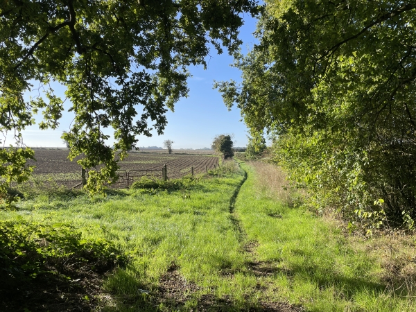 Je quitte les bois et traverse le plateau sur le GR211, fréquenté par des deux roues semble-t-il.