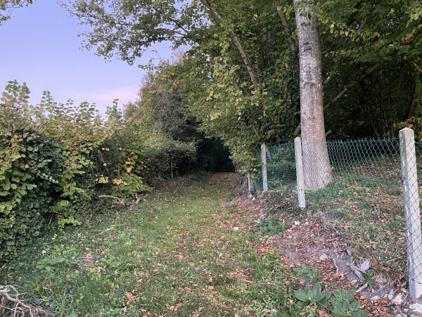 Après avoir suivi le Chemin des Côtes (qui est une petite route), nous montons en lisière du bois de la Salle.