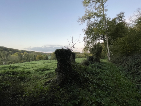 Par endroits, nous pouvons profiter des points de vue sur le vallon en contrebas.