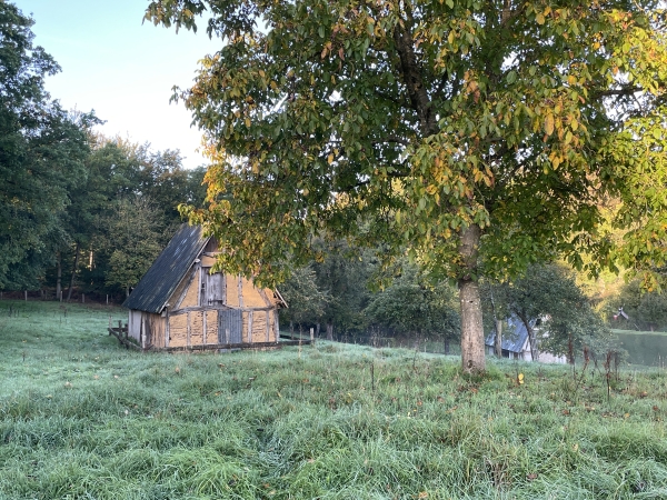 Après les Coudraies, nous allons à nouveau entrer dans les bois.