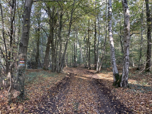 Nous continuons notre chemin, suivi aussi par le GR224 et d'autres itinéraires comme on le voit aux balises à gauche.