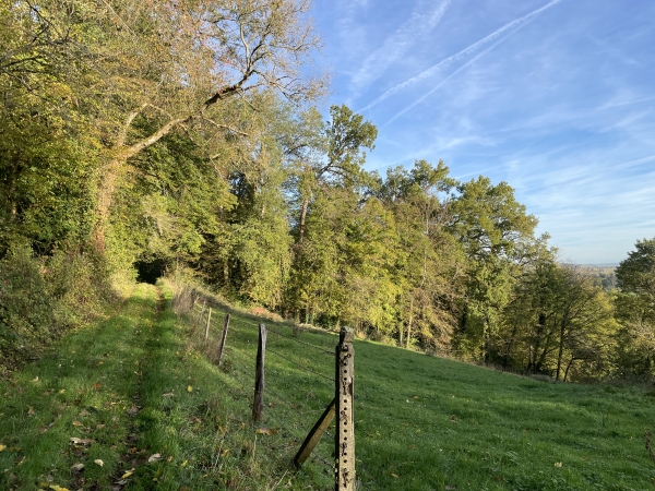 Nous traversons plusieurs bois sur les coteaux, ici regard arrière vers Berthenonville.