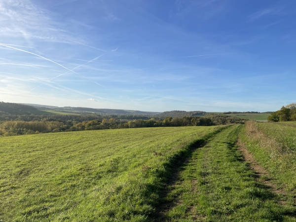 Nous sortons des bois et découvrons cette belle perspective sur les douces ondulations des coteaux de l'Epte. Nous allons redescendre vers la rivière.