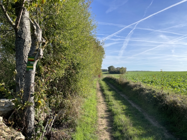 Une fois sur le coteau, le relief est totalement plat. On voit à droite l'un des nombreux balisages jaunes qui se succèdent sur cet itinéraire, et le balisage jaune et rouge du GRP de la Vallée de l'Epte.