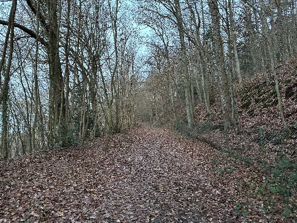 Quelque part, sur la droite, sur la motte, se trouvait le château de Roger de Beaumont, détruit par Du Guesclin.&nbsp;
