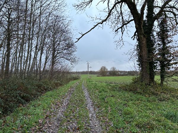 La boucle se prolonge dans le bois et en lisière.