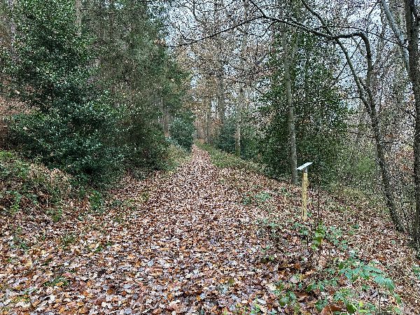 Me voilà de retour dans le parc, avec ses panneaux pédagogiques.