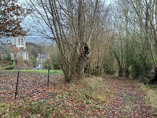 Je descends maintenant vers Beaumontel, dont le clocher de l'église Saint-Pierre est déjà visible.