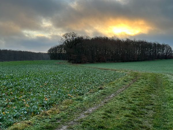 Après le hameau du Parc des Deux Moulins, nous traversons cette plaine sur notre premier chemin.