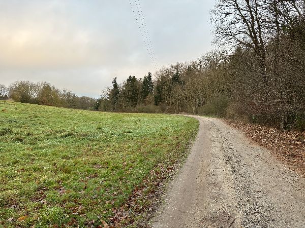 Nous descendons l'impasse du Petit Moulin, le long des bois du château du Pressoir.