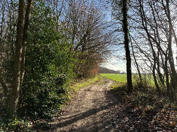 Et voici le bois de la Houlette, à proximité du Haut Sacq.
