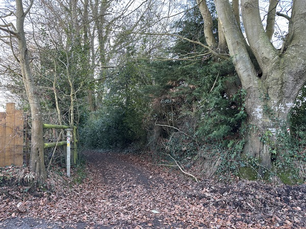 Nous quittons le GR26 pour descendre le chemin Dit-des-Monts.