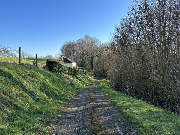 Nous avons traversé la D275, et suivons le chemin du Bois Drumard.