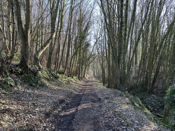 Chemin du Bois Drumard.