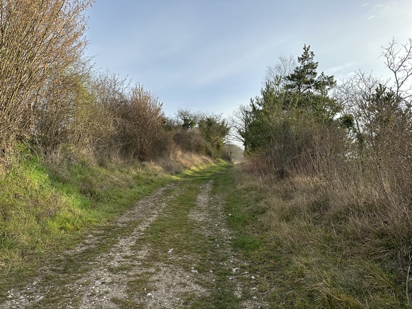 Je quitte le bourg par ce chemin qui monte en pente douce vers le Mont des Vignes.