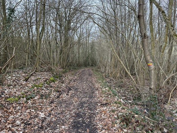 Je rejoins les balises jaunes et rouges d'un PR que je vais suivre jusqu'au Bois Ricard.