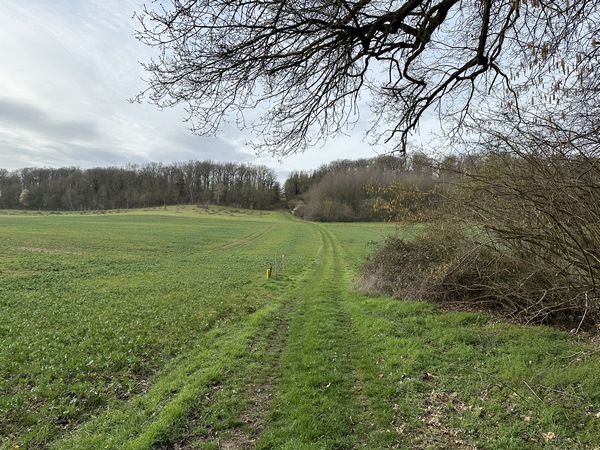 Je traverse ce vallon en ligne droite, le hameau du Bois Ricard est en face.