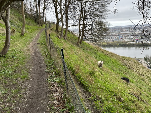 J'ai rejoint le tracé historique du chemin de Crosne. Certains sont déjà au travail pour l'entretien du coteau.
