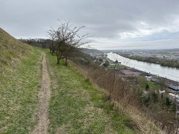 Contrairement à ce que pourrait laisser penser la hauteur du plateau, le chemin de Crosne, taillé pour des véhicules tractés par des chevaux ou des boeufs, monte en pente douce jusqu'à l'entrée de Mesnil-Esnard&nbsp; / Bonsecours.