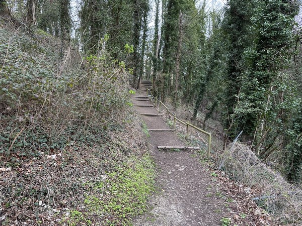 Les marches m'indiquent que j'arrive au niveau de la Route Neuve (Côte des camions).