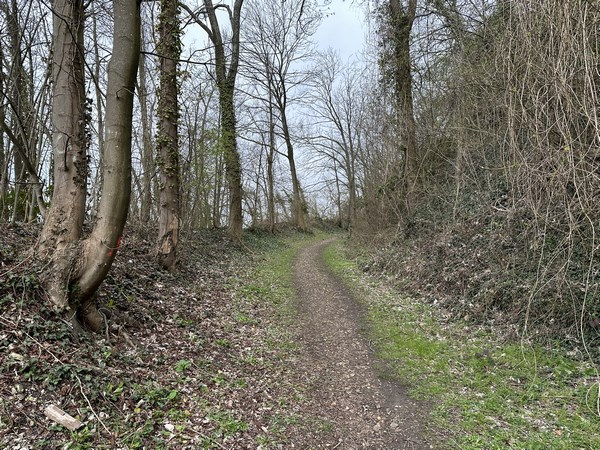 Après une photo en direction de Rouen, je monte la voie du tramway en direction de Bonsecours. Pente douce : tramway oblige.