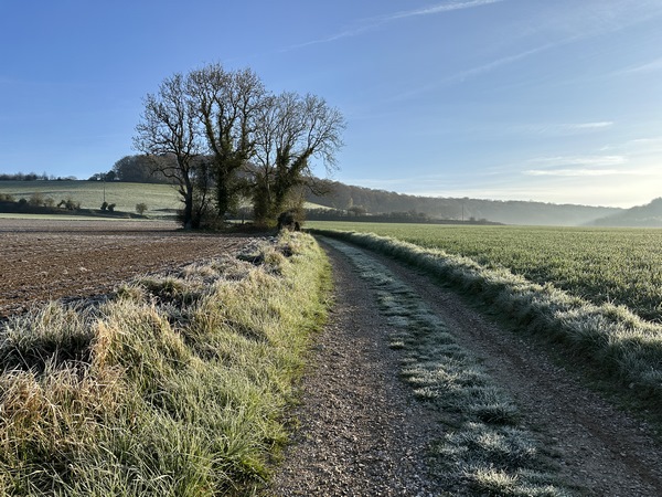 Nous montons sur le coteau nord en direction du bois du Tost. La pente n'est pas méchante comme on le voit.