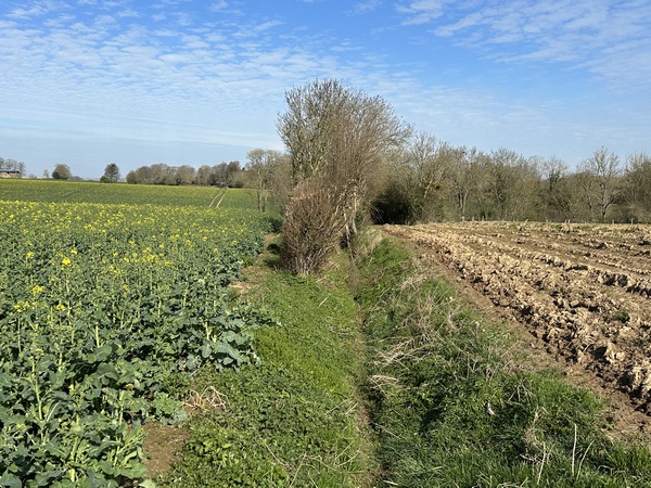 Le chemin Saint-Blaise disparait ici dans le fossé ! Etonnant pour un chemin balisé et référencé par le département de Seine-Maritime. Nous passons à gauche, entre le champ et la haie, et visiblement nous n'étions pas les premiers.