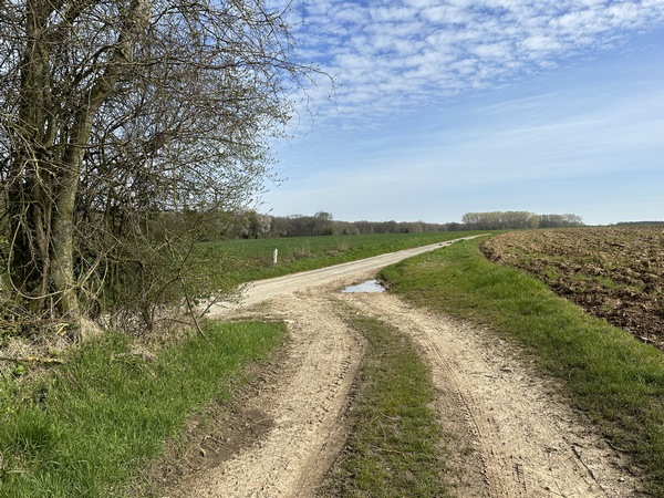 Après Gratte-Planche (où il resterait des traces d'un château vassal de celui de Cuverville), nous quittons les chemins ici en arrivant sur le C6 qui relie Cuverville au hameau de Mélincamp.