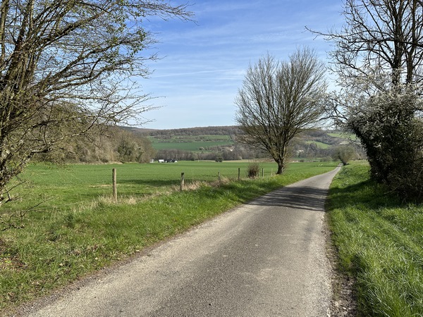 Le C6 est une petite route totalement déserte qui descend doucement vers la vallée.