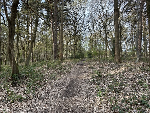 Les chemins sont agréables en cette mi avril, mais ici l'ambiance sonore n'est&nbsp; pas celle que l'on préfère en randonnée : on entend bien l'A150.
