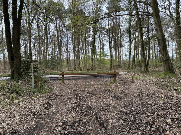 Je vais traverser la D86, et continuer en face sur le chemin forestier de Saint-Georges.